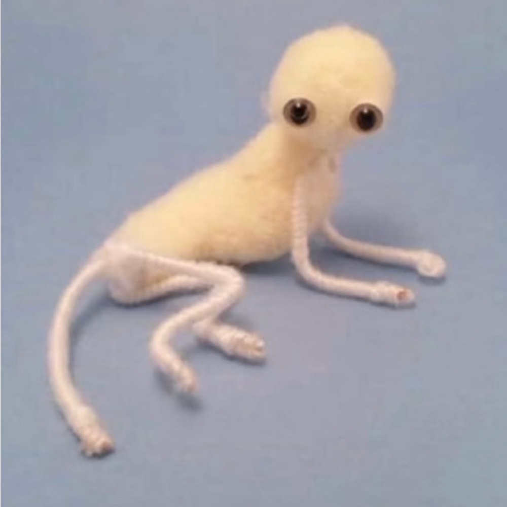 Meet your Posher, Winnie